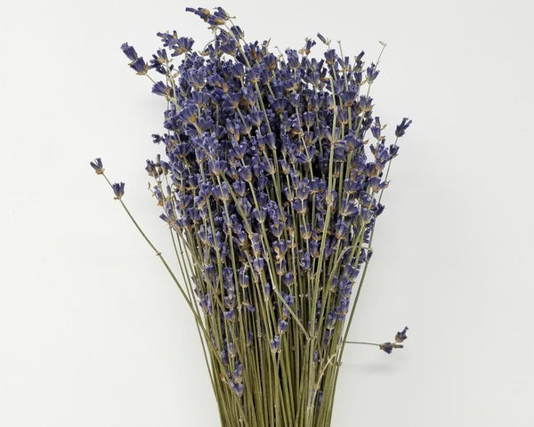 High-Grade Dried French Lavender Buds and Flowers