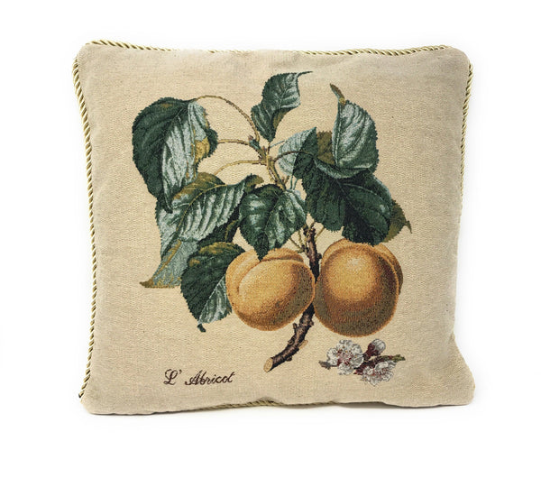 DaDa Bedding Apricot Fruit Elegant Accent Throw Pillow Cushion Cover - 1-Piece - 18"