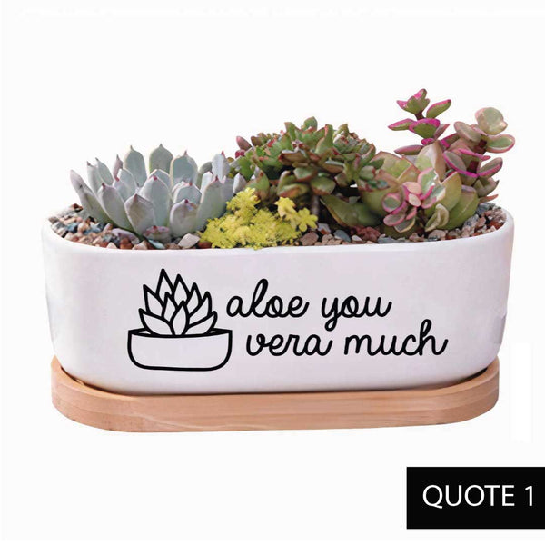 Message in a Planter - Oval 7"