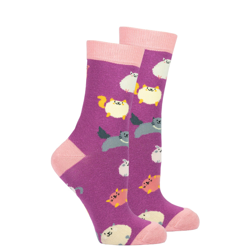 Women's Cute Cats Socks Set