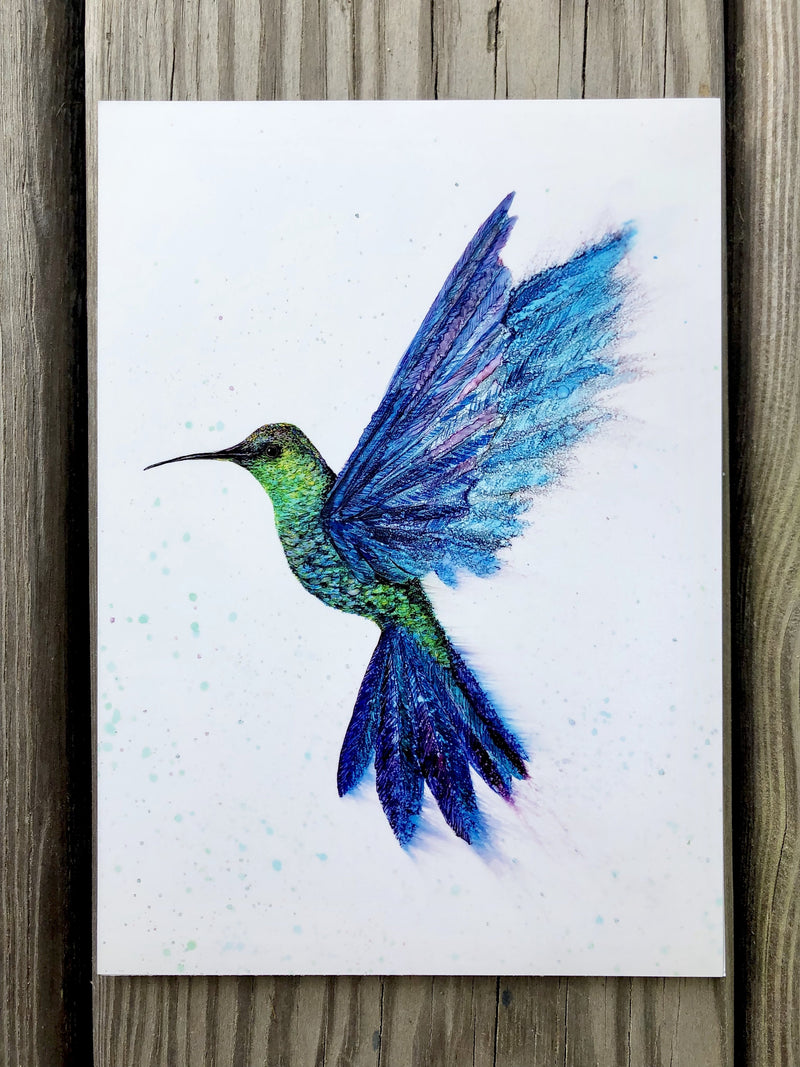 Hummingbird in Flight : Prints