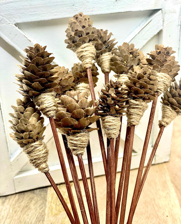 Mini Pine Cone, 9” Rattan Wood Reed Diffusers Replacement Sticks, 16 Pk