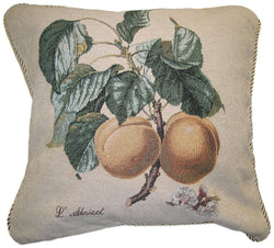Apricot Fruit Elegant Novelty Woven Square Accent Cushion Cover Throw Toss Pillow Case -  1-Piece - 18"