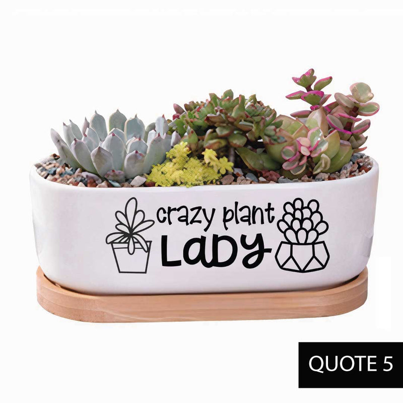 Message in a Planter - Oval 7"