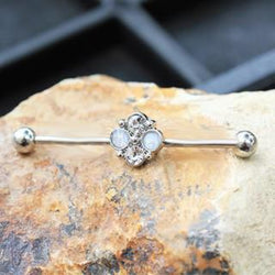 316L Stainless Steel Jeweled Flower Industrial Barbell