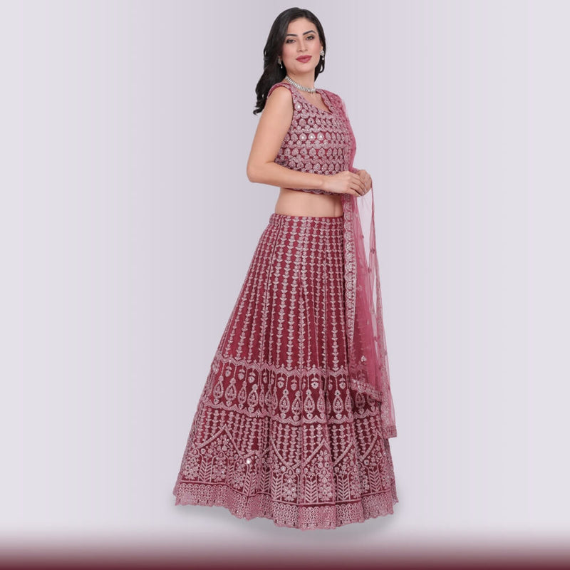 Lehenga Choli With Heavy Silver Embroidery - Pink