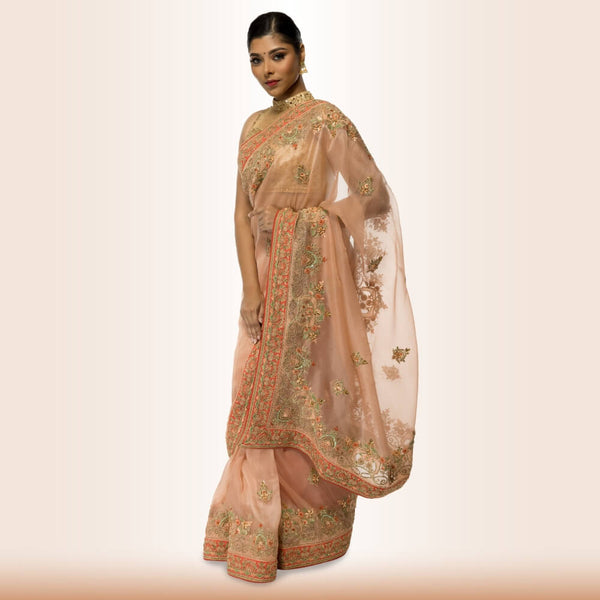 Organza Sari With Hand Embroidery - Biege