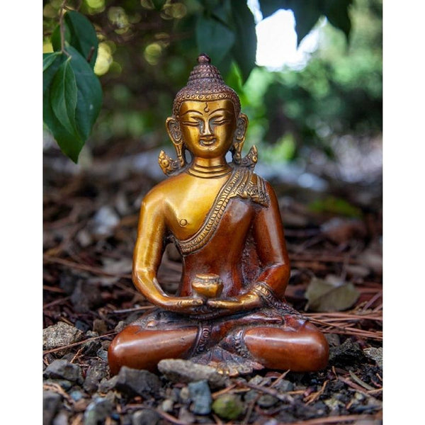 Sitting Medicine Buddha on Lotus in Meditation Pose