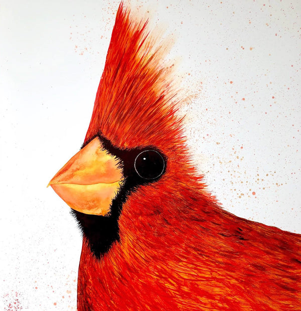 Cardinal : Prints