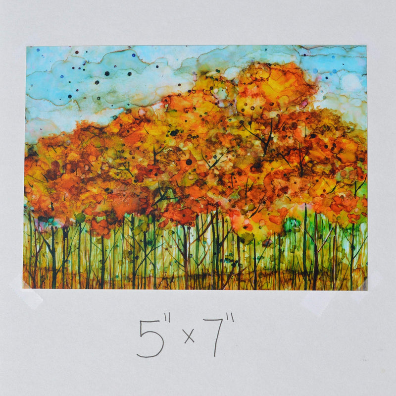 Autumn Forest : Prints
